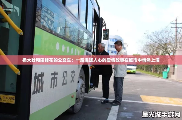 杨大壮和田桂花的公交车：一段温暖人心的爱情故事在城市中悄然上演