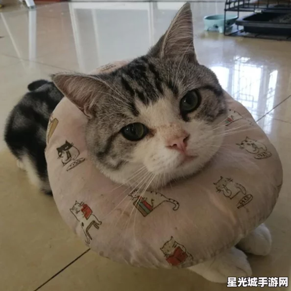 2024年必玩毛球单机游戏精选集：萌趣挑战，探索无尽绒毛世界的欢乐合集！